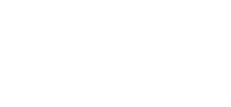 Froggy Studios frog logo